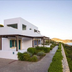 네펠리올리브오일