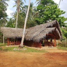 에코빌리지헤븐