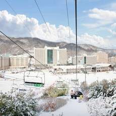[홍천군] 소노캄 비발디파크
