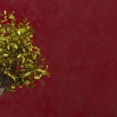 윌리엄이글스턴