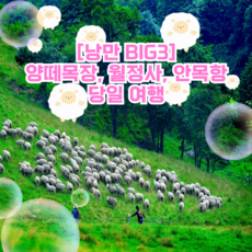 [강원] 낭만 BIG3! 대관령양떼목장, 월정사, 안목항커피거리 여행