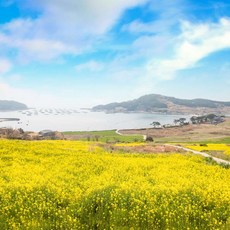 [청산도] 슬로우시티 청산도,해남,완도1박2일 (두륜산, 미황사, 완도수목원)
