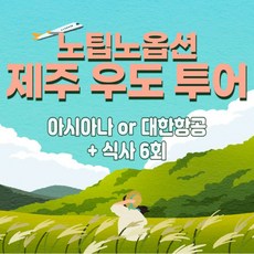 우도투어-추천-상품