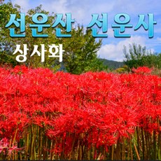 당일국내여행사