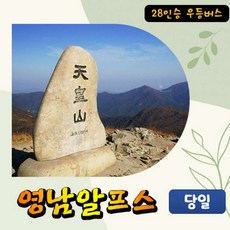 울산여행사