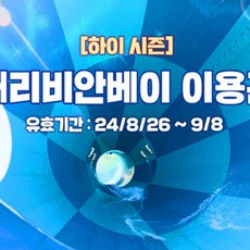 [용인] 캐리비안베이 하이시즌 종일/오후권(8/26~9/8)