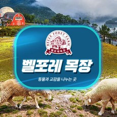 [충북] 벨포레 리조트 목장 이용권