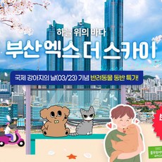 [부산] 엑스더스카이 X 풀무원아미오 반려견 동반 PKG(~24.03.31)