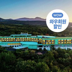 [제주] (일반자차제공/~24년2월)아시아나+'프리미엄'5성 WE호텔+에어카텔3일/4일