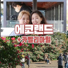 [제주] 제주 에코랜드+카멜리아힐