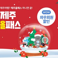 [제주] 제주올패스 24시간/48시간/72시간/120시간