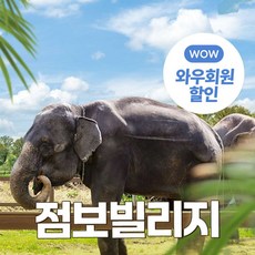 [제주] 점보빌리지(입장권, 퍼레이드 관람, 생태해설)