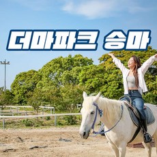 [제주] 더마파크 승마(단거리/장거리/귀족승마)