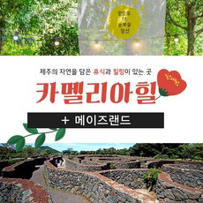 제주도고무신