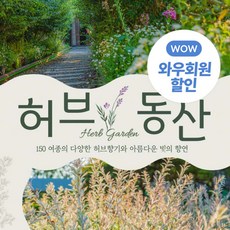 제주동쪽스노쿨링