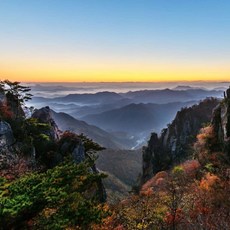 [전남] SRT - 대둔산 구름다리 & 케이블카ㆍ장태산자연휴양림 여행(당일)