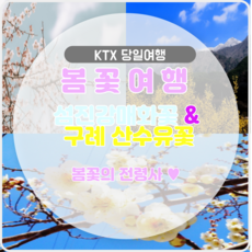 추천8섬진강매화마을