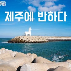 [제주] 제주에 반하다 - 한림공원/카페더라이트(오션뷰)/족욕/카멜리아힐/이호해변