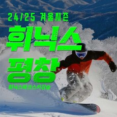 [평창] 24/25 겨울시즌 휘닉스파크 스키강습 (장비렌탈/강습)