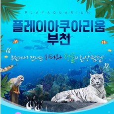 [부천] [부천] 플레이아쿠아리움+동물원+파충류관