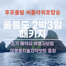 울릉도패키지