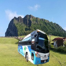 [제주도 버스패키지] 제주도 버스투어 노옵션 2일 여행&미식여행/ 우도여행 가파도 아쿠아플라넷 선택