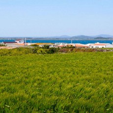 [제주도] 3박4일 제주도여행 패키지가파도투어 초특가 여행 상품