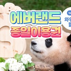 [용인] ★특가★에버랜드 종일이용권