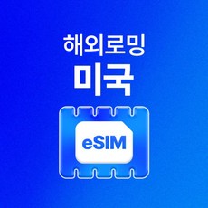 [미국] 미국 eSIM 데이터 무제한 미국 LA 뉴욕 샌프란시스코 유심 아이폰e심 유심사eSIM