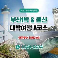 [부산/울산] ★단독 투어+전용 차량/기사/요트/KTX★1박2일투어 패키지 (4인이상 예약가능) 상품 이미지