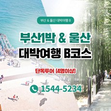 해운대해변열차 제품정보 TOP10