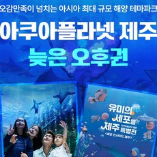 [제주 서귀포] 제주 아쿠아플라넷 늦은 오후권