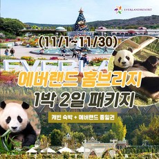 [용인] 11월 에버랜드 용인 홈브리지 캐빈호스텔 1박+종일권