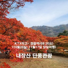 [출발확정] [KTX] 오색단풍 내장산 단풍 기차여행 (08:22出 정읍역 10/25-11/17 당일)