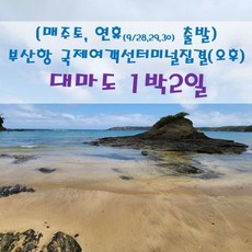 대마도배편