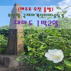 [출발확정]  [부산집결] 대마도 1박2일(토요일 오후출발)