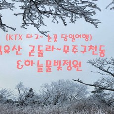 [출발확정] [12~2월][KTX] 덕유산 눈꽃 곤도라/무주구천동 & 하늘물빛정원 기차여행 (당일)