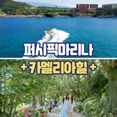 [제주] [제주] 퍼시픽마리나 제트보트+카멜리아힐