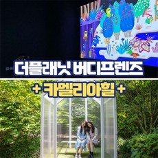 제주라플라이