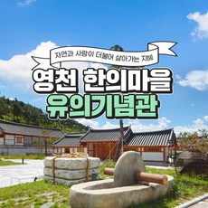 신라투어패스