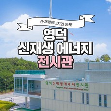 뮤지엄패스