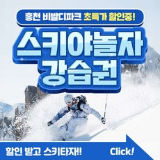 [홍천] 비발디파크 렌탈샵 스키야 놀자 강습이용권