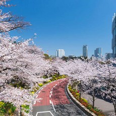 도쿄여행 TOP01