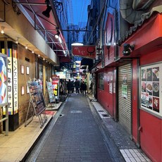 [오사카] [하나투어]인천출발 진에어 [4인이상 출발확정] 오사카/와카야마/시라하마 4일