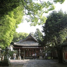 [대마도] [하나투어]부산출발 선박 [출발확정] 대마도 2일 #JCP421N0D #니나호