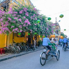 [다낭] [하나투어]무안군출발 비엣젯항공 [무안출발] 다낭 5일 #AVP933VJD #5성호텔
