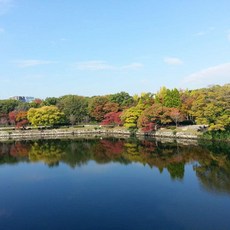 [오사카] [하나투어]부산출발 제주항공 [ 온천힐링여행/교토숙박] 오사카/교토/나라  3일