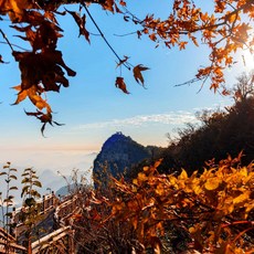 [장사] [하나투어]인천출발 중국남방항공 [출발임박/취항특가]장가계/원가계 6일