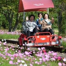 김유정레일바이크할인