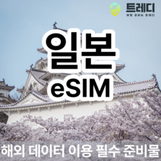 [일본] 일본 IIJ 4G eSIM 해외여행 데이터전용 일본여행 필수 준비물